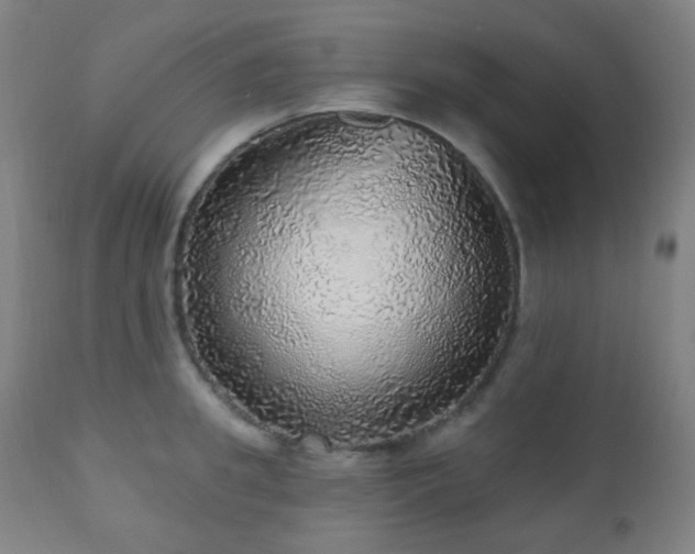 X0000110980949200906191400