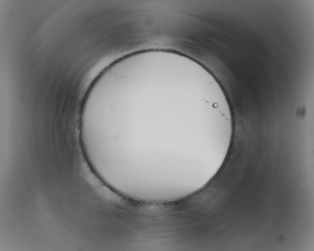 X0000110980950200906191400