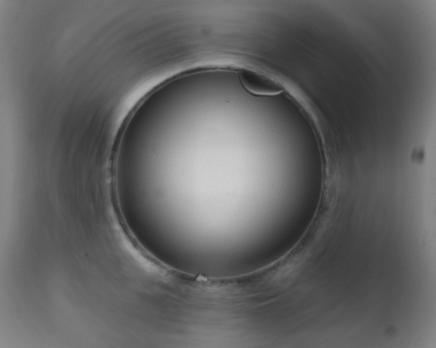 X0000110980951200906191400