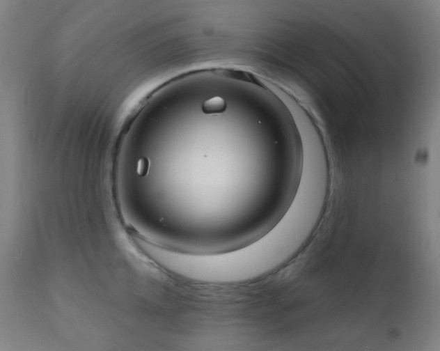 X0000110980952200906191400