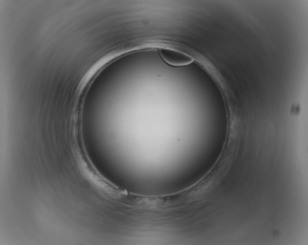 X0000110980955200906191401