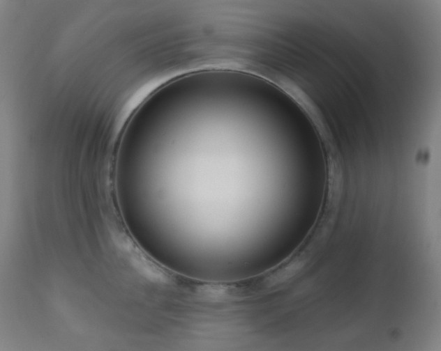 X0000110980956200906191401