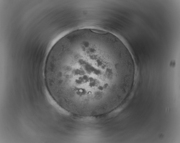 X0000110980957200906191401