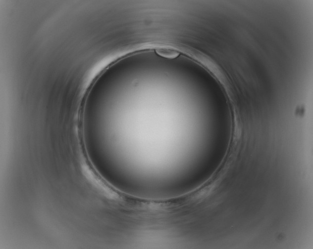 X0000110980958200906191401