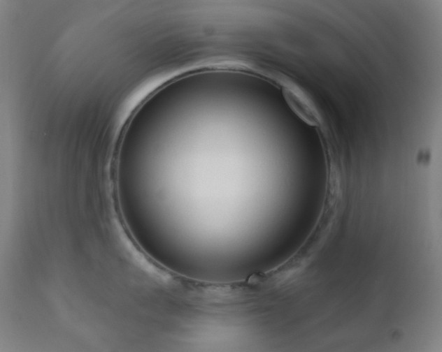 X0000110980959200906191401