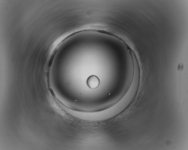 X0000110980960200906191401