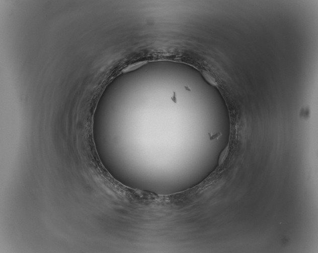 X0000110980961200906191400