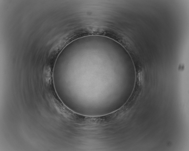 X0000110980963200906191400