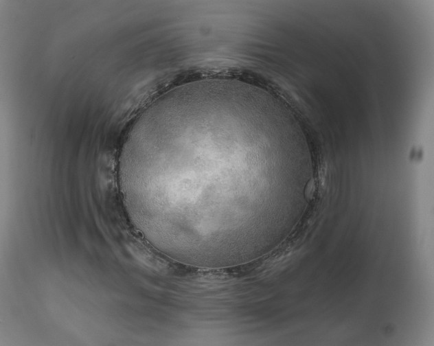 X0000110980964200906191400