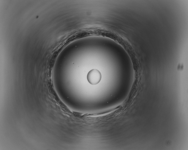 X0000110980965200906191400