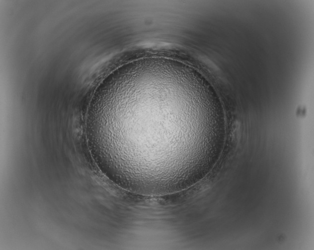 X0000110980966200906191400