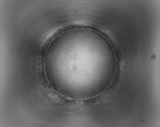 X0000110980968200906191400