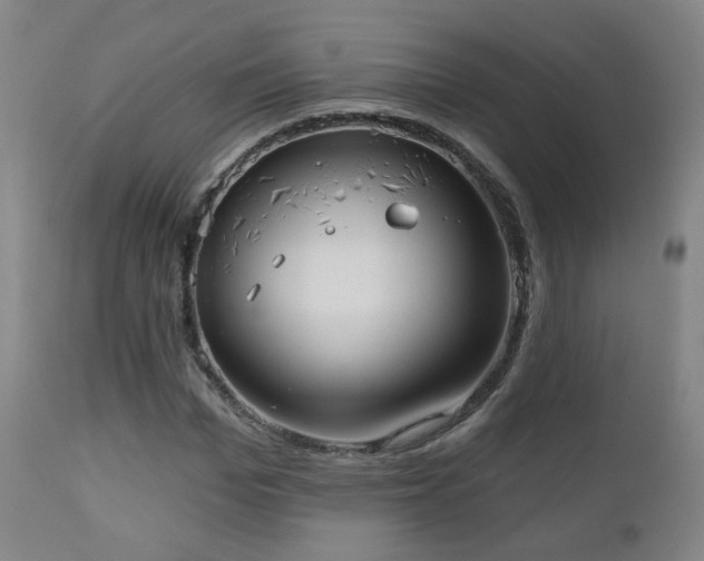 X0000110980969200906191400