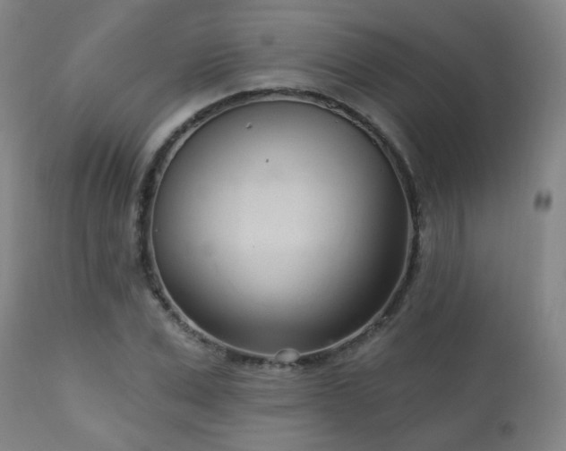 X0000110980975200906191400