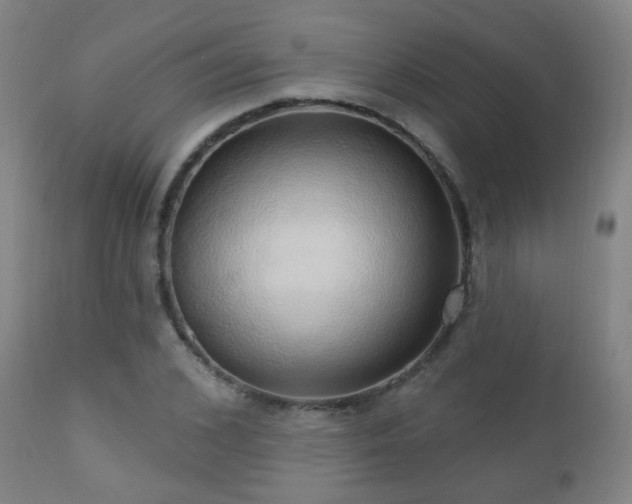 X0000110980976200906191400