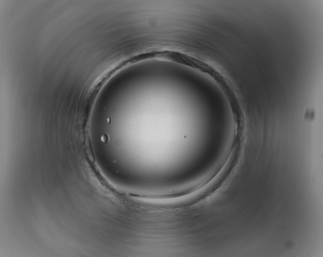 X0000110980977200906191400