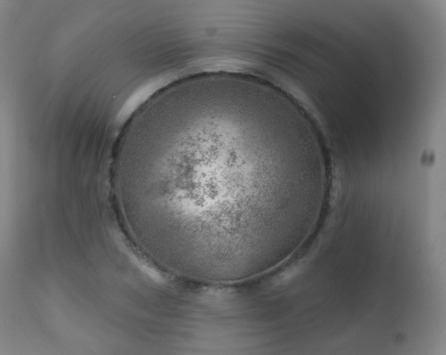 X0000110980978200906191400