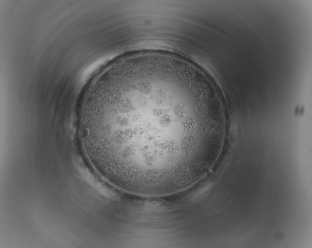 X0000110980979200906191400