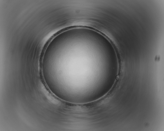 X0000110980980200906191400