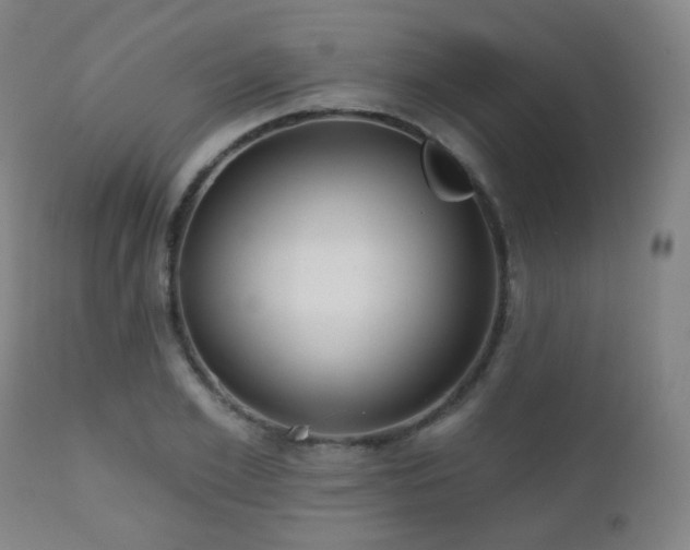 X0000110980981200906191400