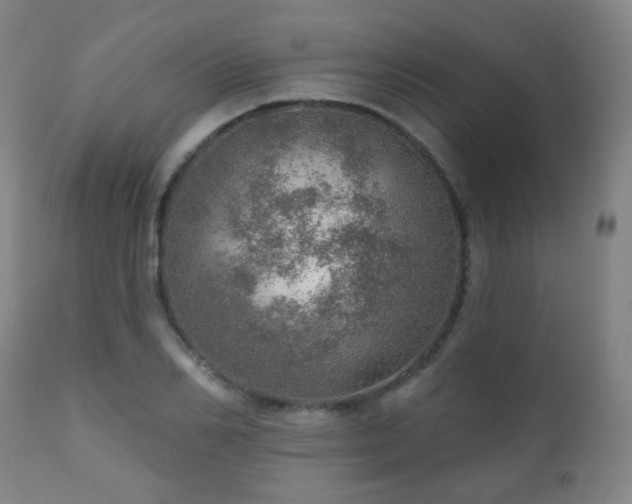 X0000110980982200906191400