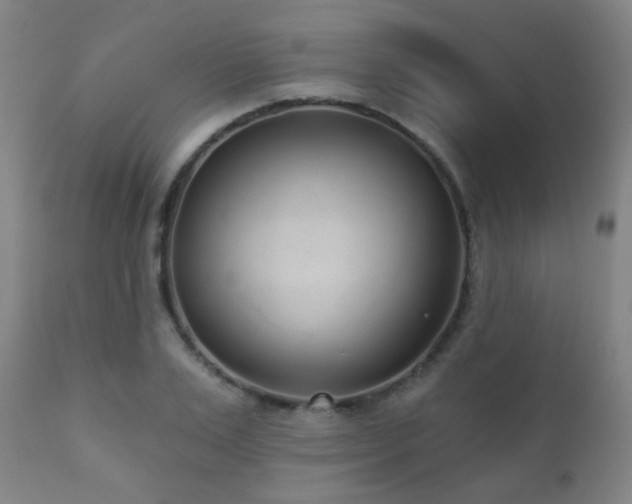 X0000110980983200906191400