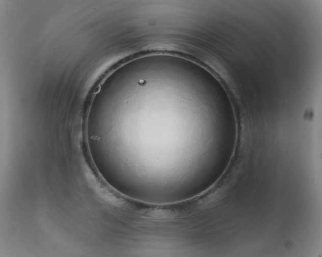 X0000110980984200906191400