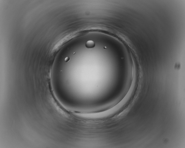 X0000110980985200906191400