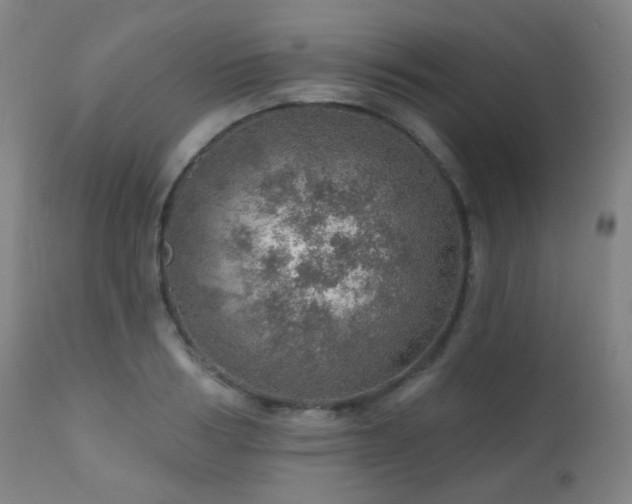 X0000110980986200906191400