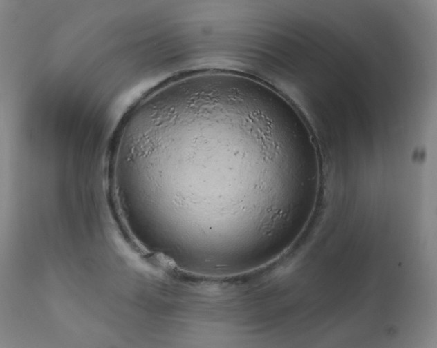 X0000110980987200906191400