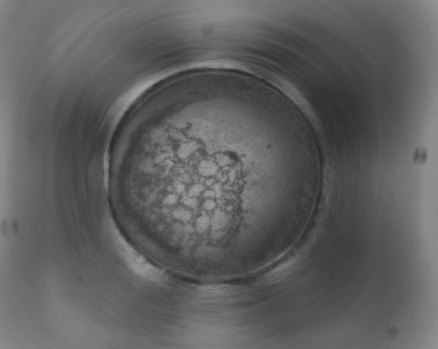 X0000110980988200906191400