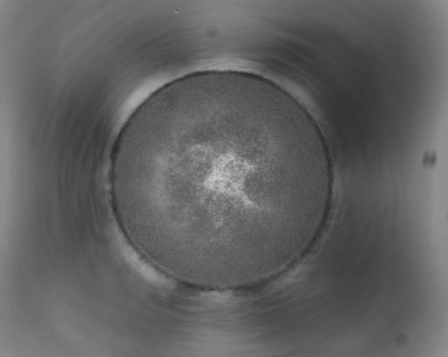 X0000110980990200906191359