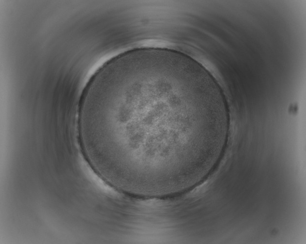 X0000110980992200906191359