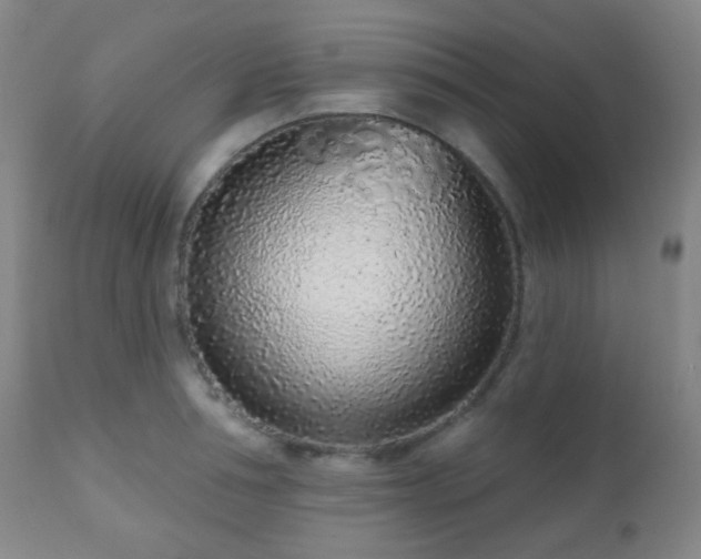 X0000110980994200906191359