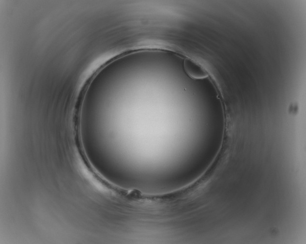 X0000110980995200906191359