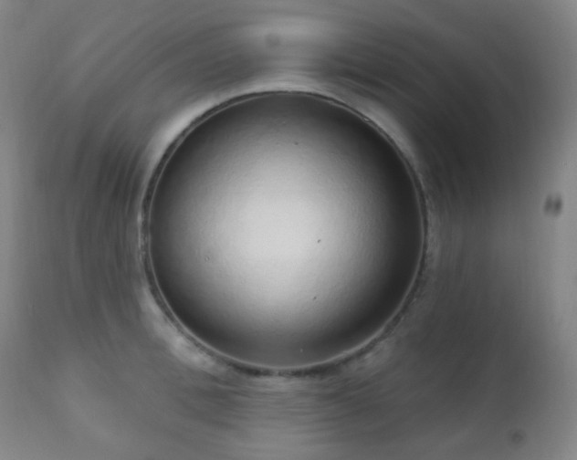 X0000110980996200906191359