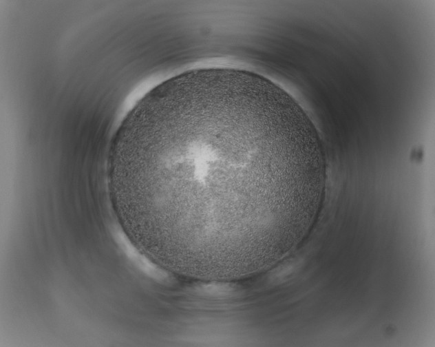 X0000110980998200906191359