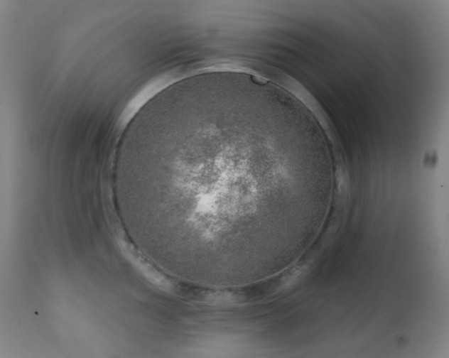 X0000110981002200906191359