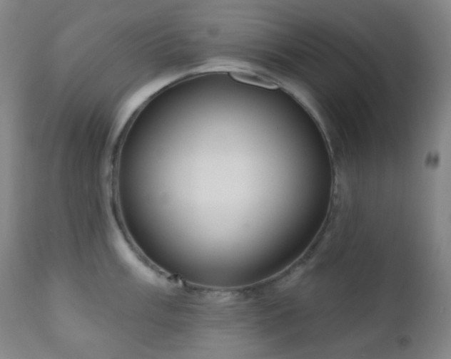 X0000110981003200906191359