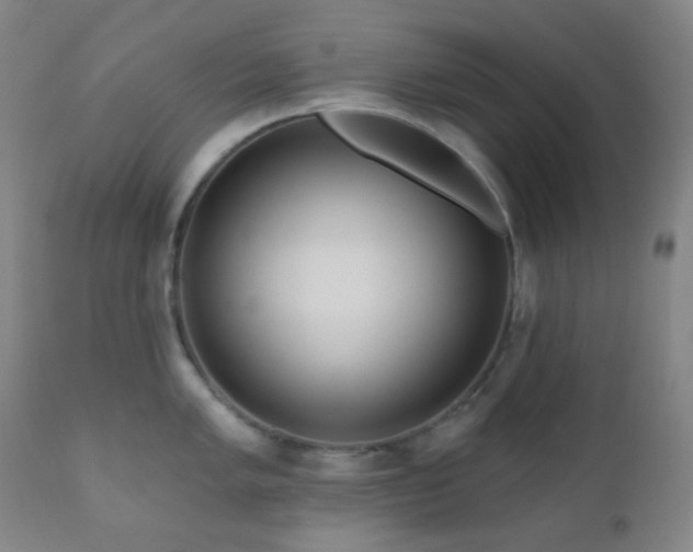 X0000110981005200906191359