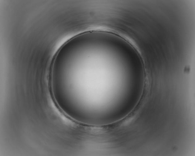 X0000110981007200906191359