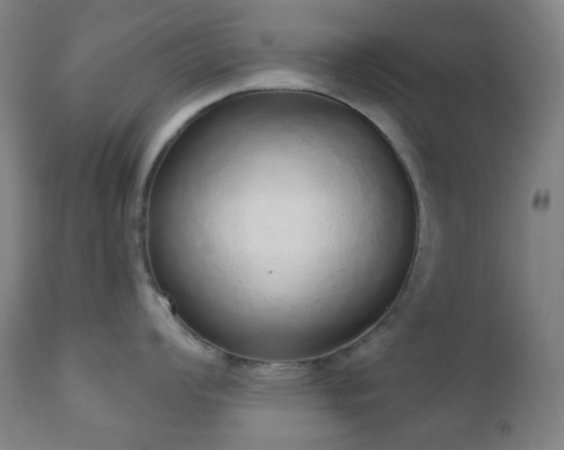 X0000110981008200906191359