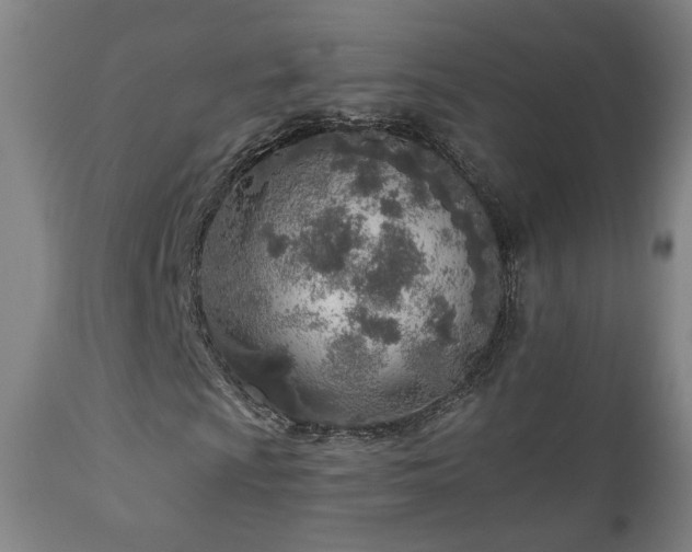 X0000110981009200906191359