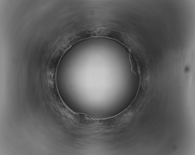 X0000110981010200906191359