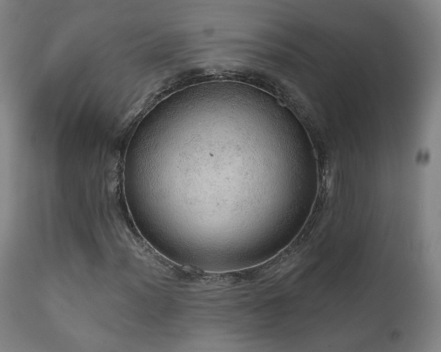 X0000110981012200906191359