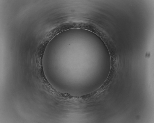 X0000110981013200906191359