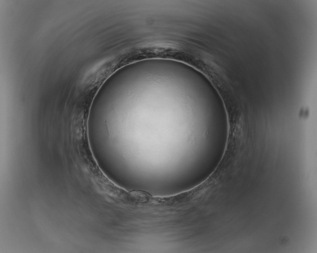 X0000110981014200906191359