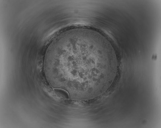 X0000110981015200906191359