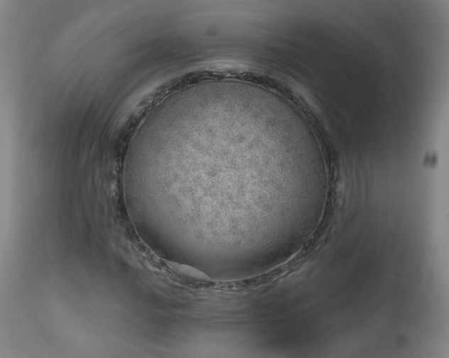 X0000110981016200906191359