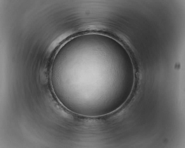 X0000110981018200906191359